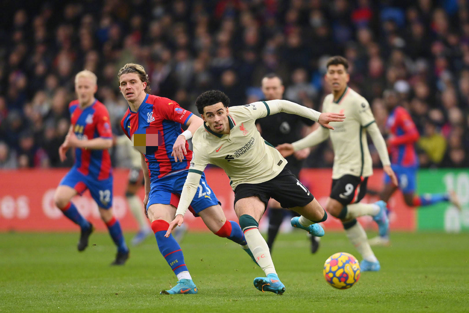 马竞的新援 马竞的新援